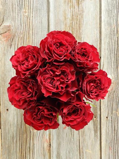 HEARTS   RED ROSES
